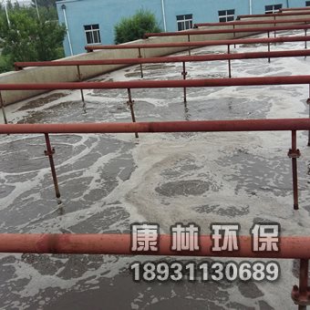 可提升管式曝气器产品结构和特性